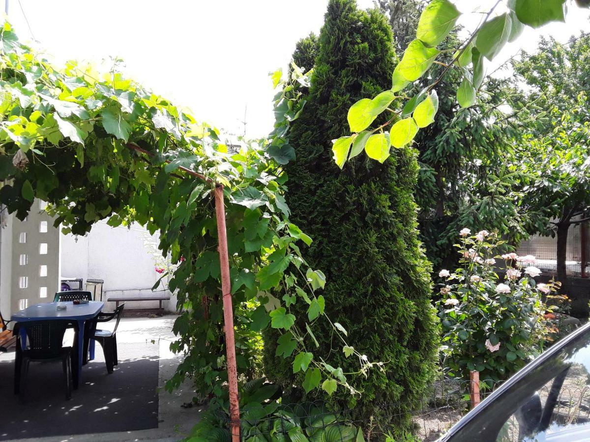 Old House Apartment วามาเวเก ภายนอก รูปภาพ